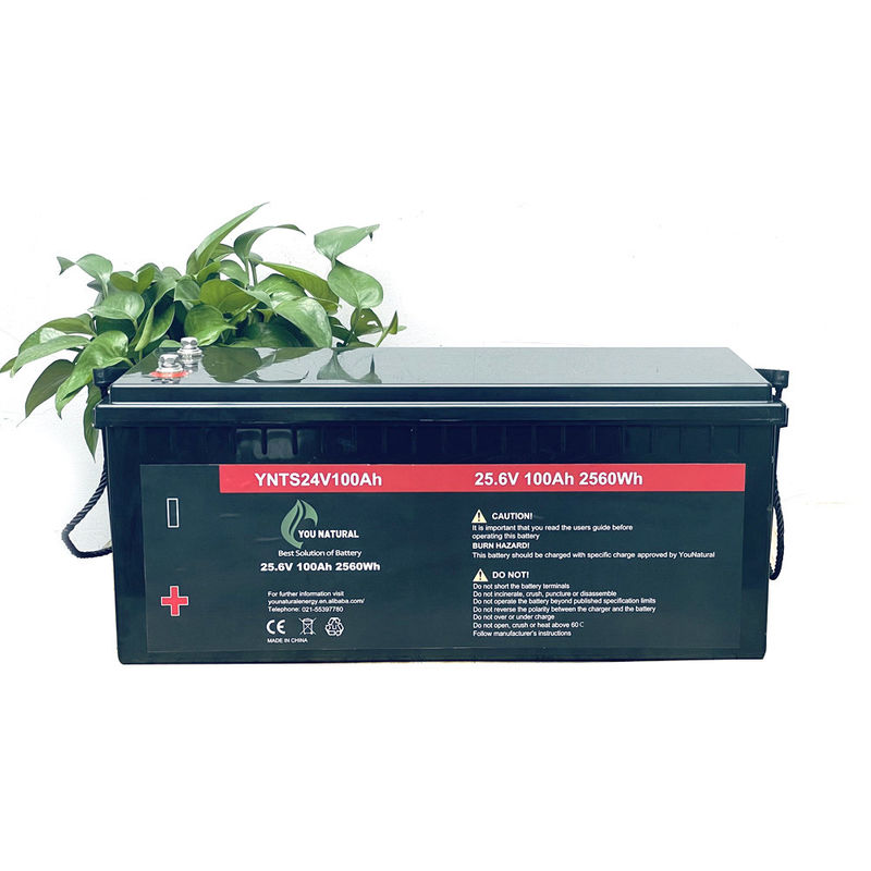 i cicli della batteria 3000 di 24V LiFePo4 lungamente ciclano il litio ricaricabile Ion Batteries di vita 2560wh 100ah