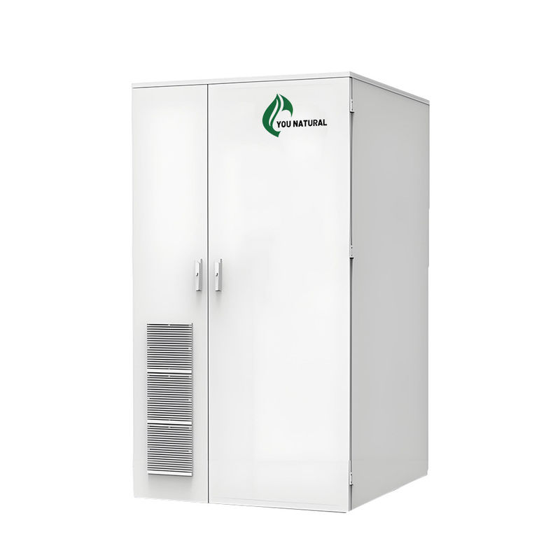 Personalizzazione 30kW 55kWhh Armadio di stoccaggio dell'energia industriale all'aperto Armadio di stoccaggio delle batterie al litio